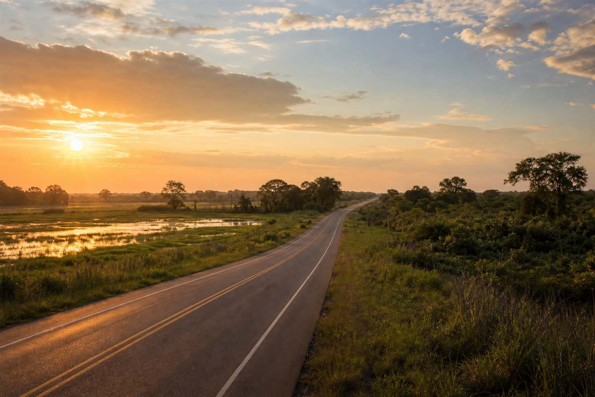 Estrada em área rural de Mato Grosso do Sul